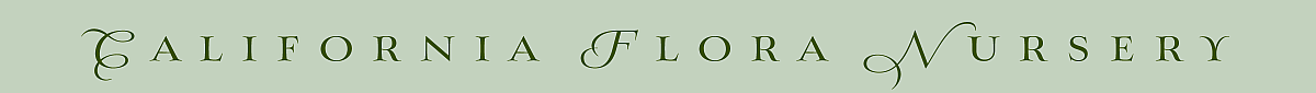 California Flora Native Plant Nursery